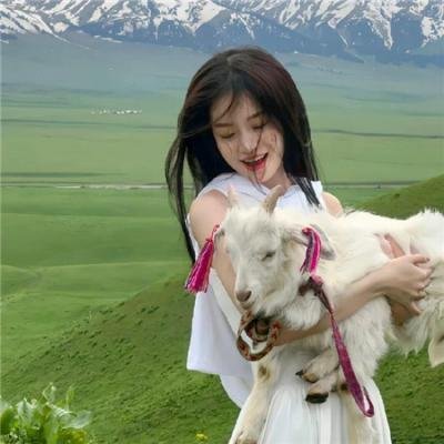 猫之茗第二季